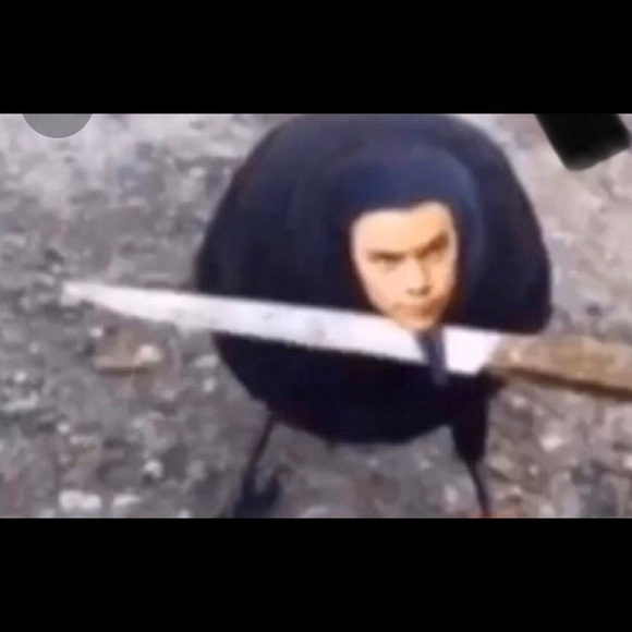 ebcmo